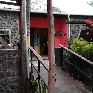https://hostal-galapagos-morning-glory.puertoayorahotels.com